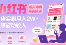 小红书虚拟电商,大佬实测月入2W+,实现被动收入-冒泡网