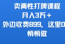 卖两性打牌课程，月入3W+外边收费899的课程，这里0元，悄悄做-冒泡网