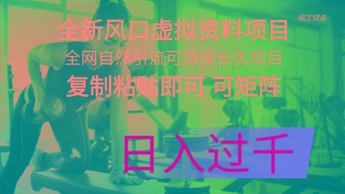 全新风口虚拟资料项目 全网自然引流可持续长久项目 复制粘贴即可可矩阵…-冒泡网