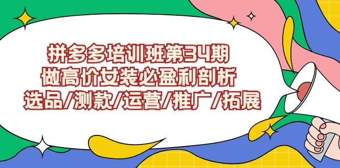 (9333期)拼多多培训班第34期:做高价女装必盈利剖析 选品/测款/运营/推广/拓展-冒泡网