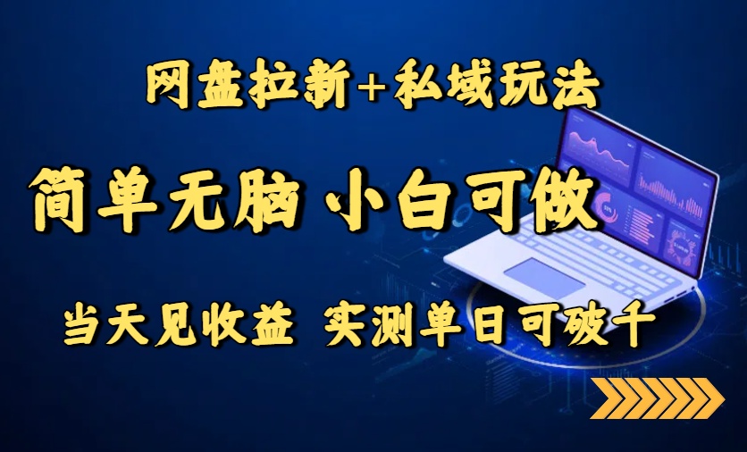 网盘拉新+私域玩法，简单无脑，小白可做，当天见收益，实测单日可破千-冒泡网