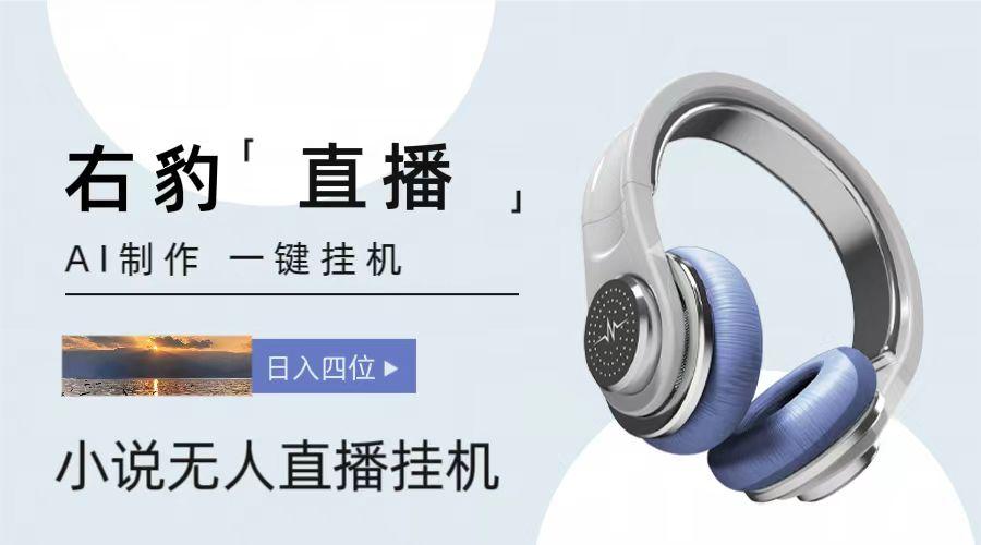 右豹小说无人直播挂机吸金项目,简单易行收益稳定, 月入1000+-冒泡网