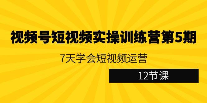 视频号短视频实操训练营第5期：7天学会短视频运营(12节课)-冒泡网