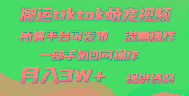 (9618期)搬运Tiktok萌宠类视频,一部手机即可。所有短视频平台均可操作,月入3W+-冒泡网