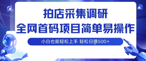 拍店采集调研,全网首码项目,简单易操作, 小白也能轻松上手,多账号操作,轻松日入5张【揭秘】-冒泡网