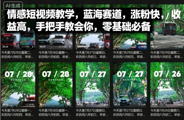 情感短视频教学，蓝海赛道，涨粉快，收益高，手把手教会你，零基础必备-冒泡网