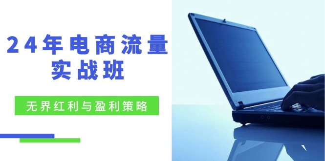 24年电商流量实战班：无界 红利与盈利策略，终极提升/关键词优化/精准…-冒泡网