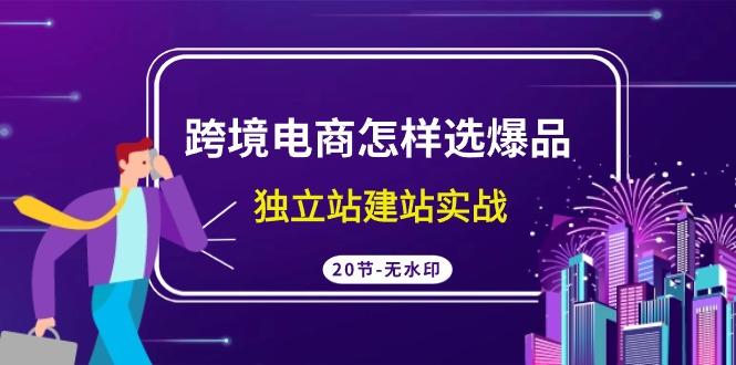 (9369期)跨境电商怎样选爆品,独立站建站实战(20节高清无水印课)-冒泡网