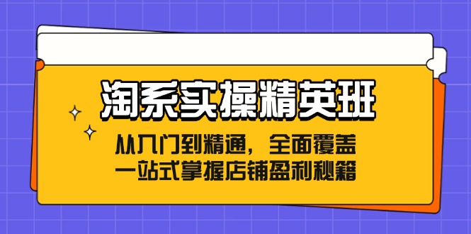 淘系实操精英班:从入门到精通,全面覆盖,一站式掌握店铺盈利秘籍-冒泡网