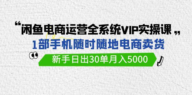 (9547期)闲鱼电商运营全系统VIP实战课,1部手机随时随地卖货,新手日出30单月入5000-冒泡网