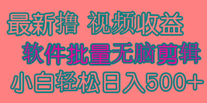 (9569期)发视频撸收益,软件无脑批量剪辑,第一天发第二天就有钱-冒泡网