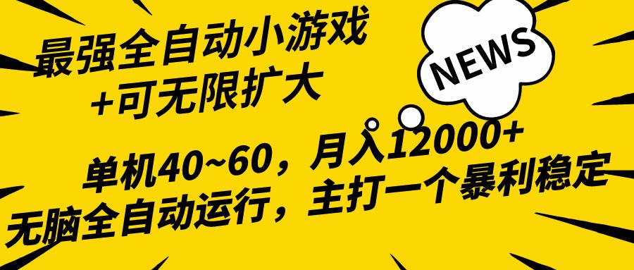 (10046期)最新全网独家小游戏全自动,单机40~60,稳定躺赚,小白都能月入过万-冒泡网