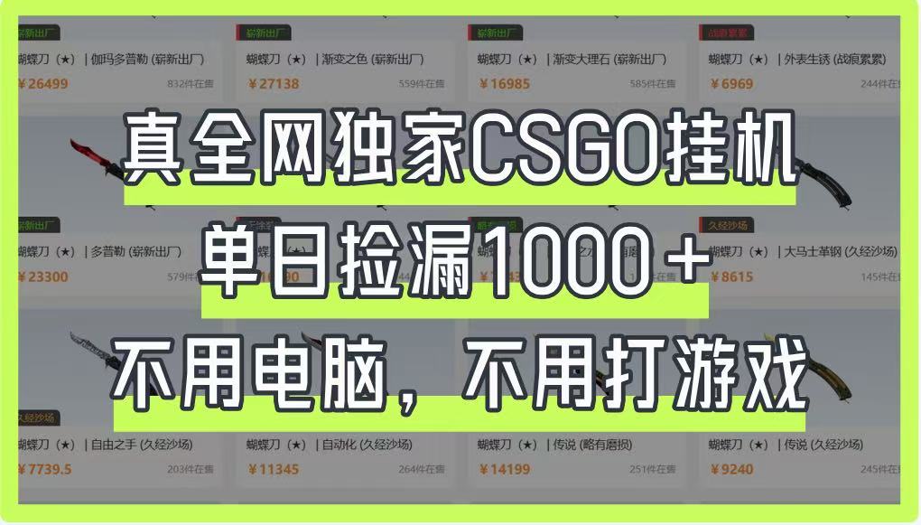 真全网独家CSGO挂机,单日捡漏1000+,不用电脑,不用养号-冒泡网
