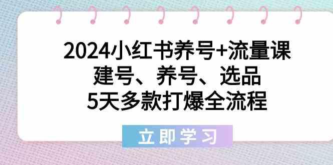 小红书养号+流量课:建号、养号、选品,5天多款打爆全流程-冒泡网