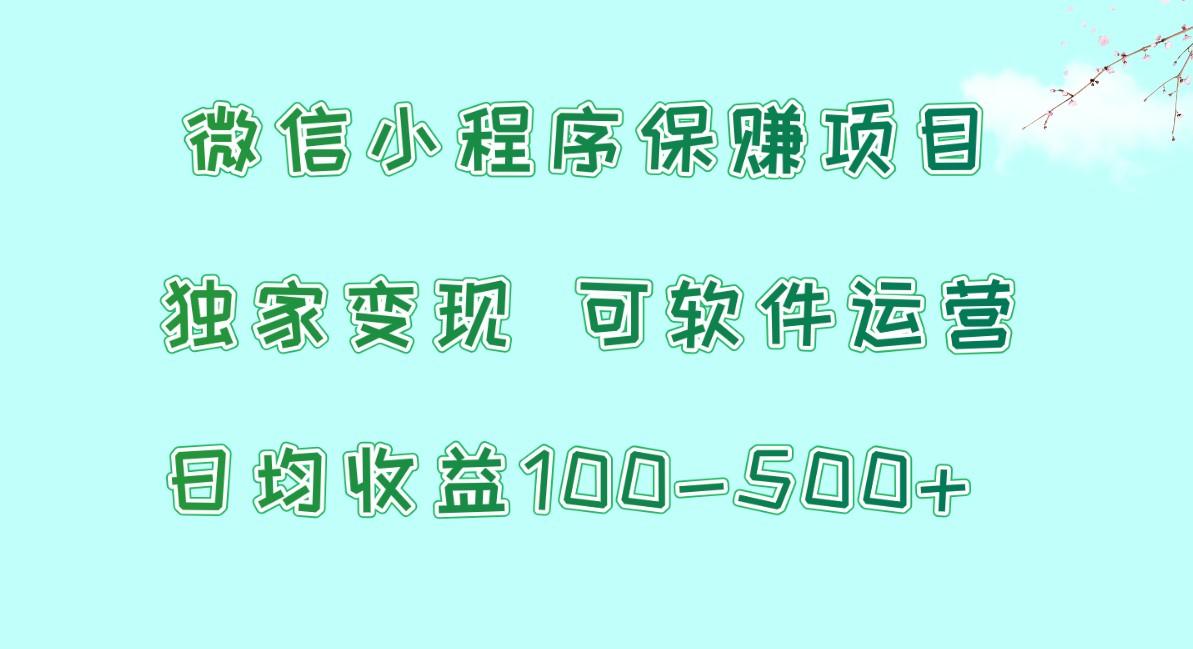 微信小程序保赚项目,日均收益100~500+,独家变现,可软件运营-冒泡网
