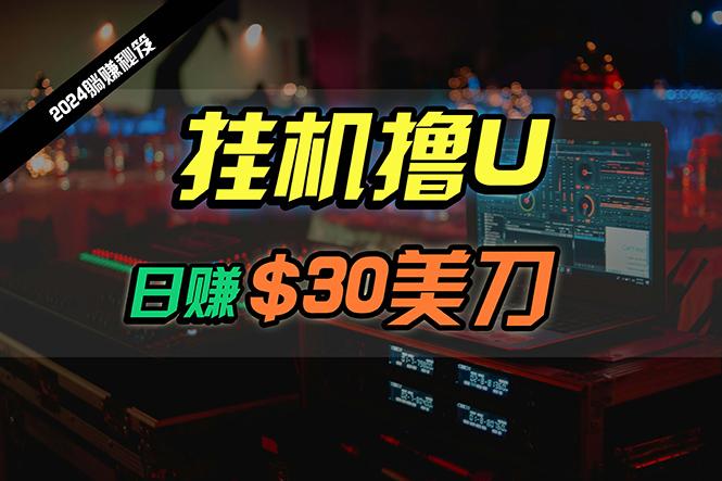 (10013期)日赚30美刀,最新海外挂机撸U内部项目,全程无人值守,可批量放大-冒泡网