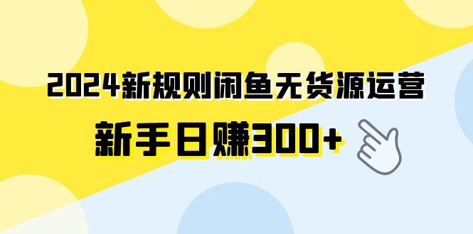 (9522期)新规则闲鱼无货源运营新手日赚300+-冒泡网