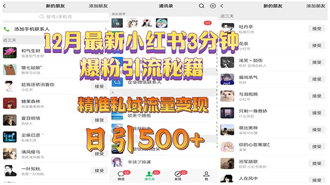 12月最新小红书3分钟爆粉引流秘籍 精准私域流量变现 日引500+-冒泡网
