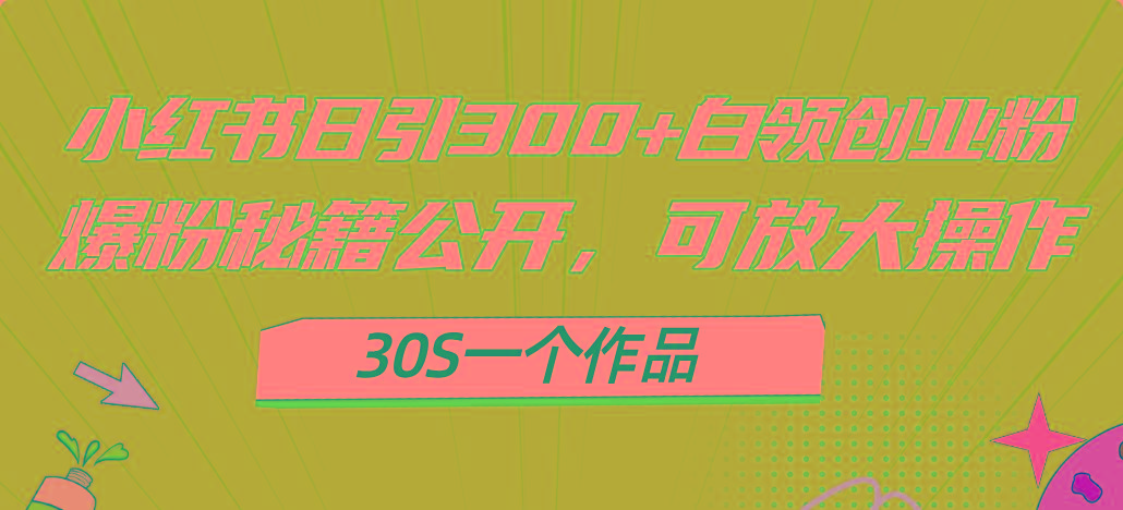 小红书日引300+高质白领创业粉,可放大操作,爆粉秘籍!30s一个作品-冒泡网