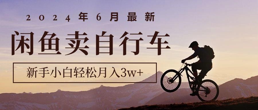 年6月最新闲鱼卖自行车,新手小白轻松月入3w+项目-冒泡网