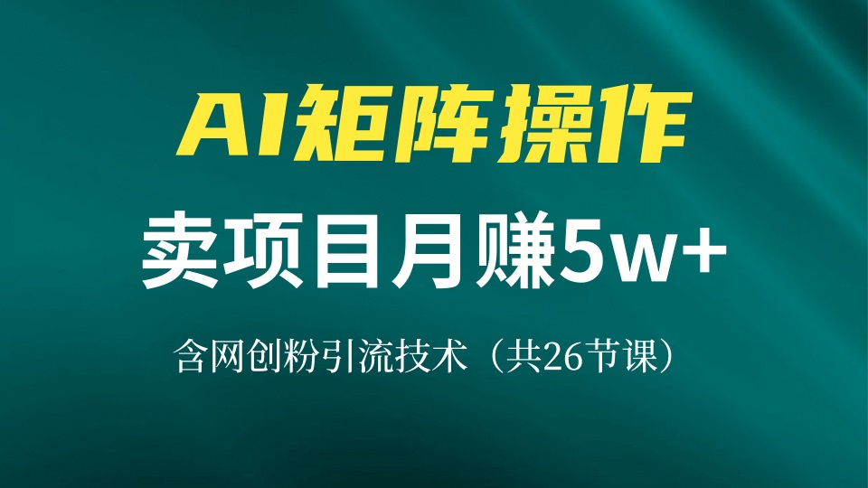 网创IP打造课,借助AI卖项目月赚5万+,含引流技术(共26节课-冒泡网