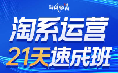 白凤电商·淘系运营21天速成班(更新8月)-冒泡网