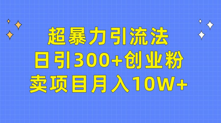 (9954期)超暴力引流法,日引300+创业粉,卖项目月入10W+-冒泡网
