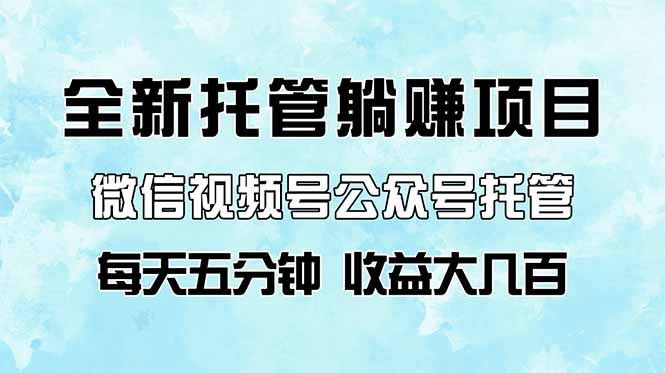 全新托管躺赚项目，微信视频号公众号托管代运营，每天五分钟，收益大几百-冒泡网