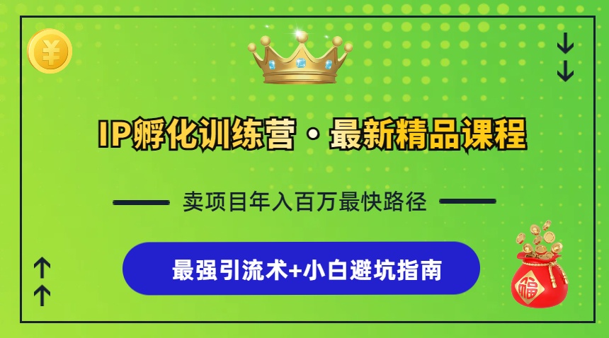 IP孵化训练营,知识付费全流程+最强引流术+小白避坑指南-冒泡网