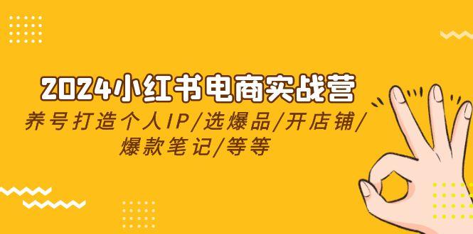小红书电商实战营,养号打造IP/选爆品/开店铺/爆款笔记/等等(24节)-冒泡网
