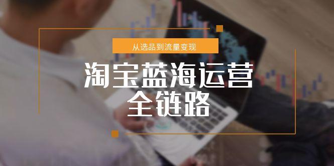 淘宝蓝海运营全链路,从选品到流量变现,小类目突围完整方案-冒泡网