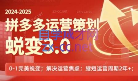 大力老师·拼多多运营策略蜕变3.0-冒泡网