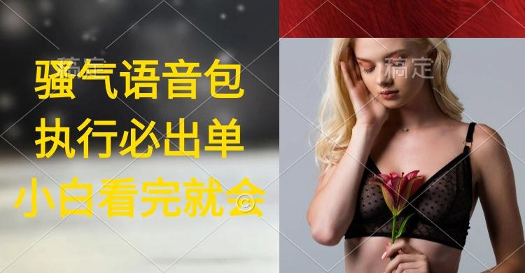 (9589期)执行就出单,日入2000+,超火骚气语音包,小白看完课程就能马上实操-冒泡网