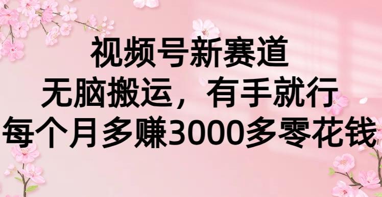 (9278期)视频号新赛道,无脑搬运,有手就行,每个月多赚3000多零花钱-冒泡网