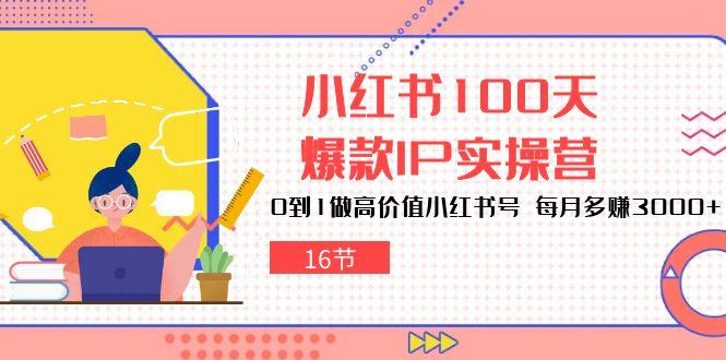 小红书100天-爆款IP实操营,0到1做高价值小红书号 每月多赚3000+(16节-冒泡网