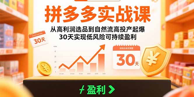 拼多多实战课:从高利润选品到自然流高投产起爆 30天实现低风险可持续盈利-冒泡网