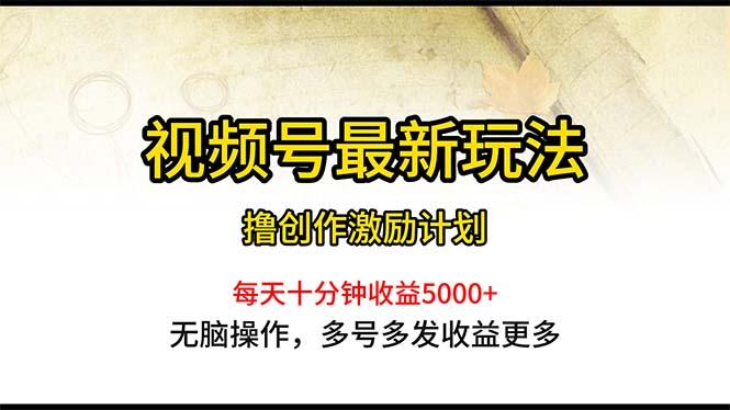 视频号最新玩法,每日一小时月入5000+-冒泡网