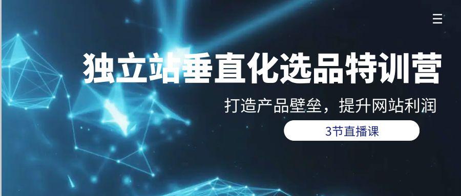 (9925期)独立站-垂直化选品训练营,打造产品壁垒,提升网站利润(3节直播课)-冒泡网