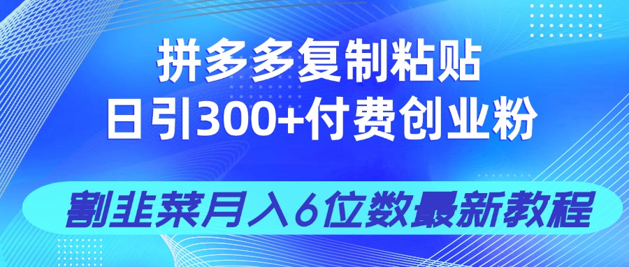 拼多多复制粘贴日引300+付费创业粉,割韭菜月入6位数最新教程!-冒泡网