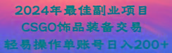 年最佳副业项目 CSGO饰品装备交易 轻易操作单账号日入200+-冒泡网