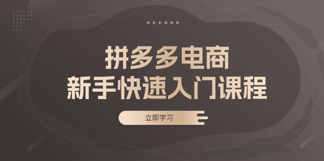 拼多多电商新手快速入门课程:涵盖基础、实战与选款,助力小白轻松上手-冒泡网