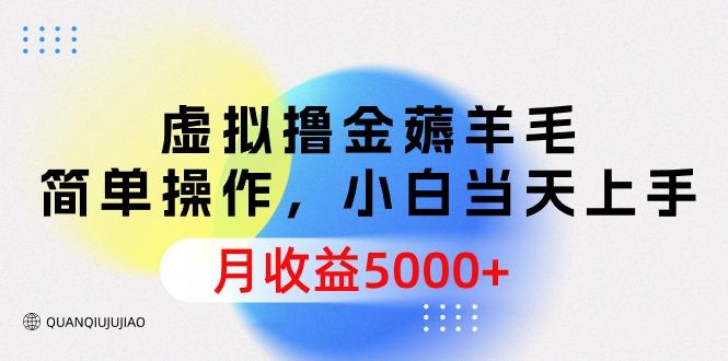 (9864期)虚拟撸金薅羊毛,简单操作,小白当天上手,月收益5000+-冒泡网