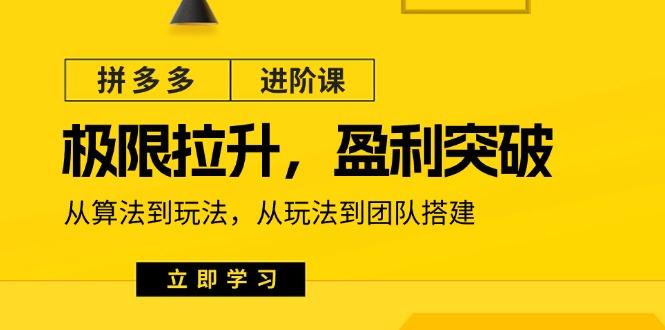 拼多多·进阶课:极限拉升/盈利突破:从算法到玩法 从玩法到团队搭建-18节-冒泡网