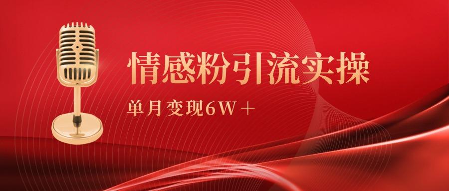 (9473期)单月变现6w+,情感粉引流变现实操课-冒泡网