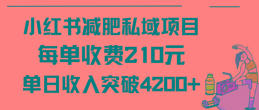 (9466期)小红书减肥私域项目每单收费210元单日成交20单，最高日入4200+-冒泡网