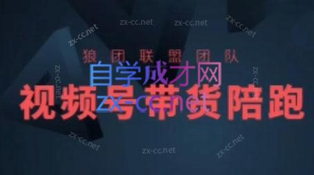 狼团联盟·视频号带货-冒泡网