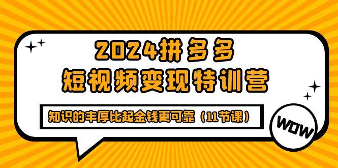 (9817期)拼多多短视频变现特训营，知识的丰厚比起金钱更可靠(11节课)-冒泡网