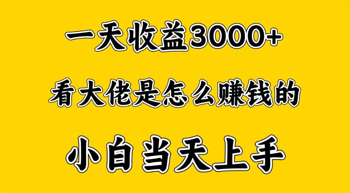 一天赚3000多，大佬是这样赚到钱的，小白当天上手，穷人翻身项目-冒泡网