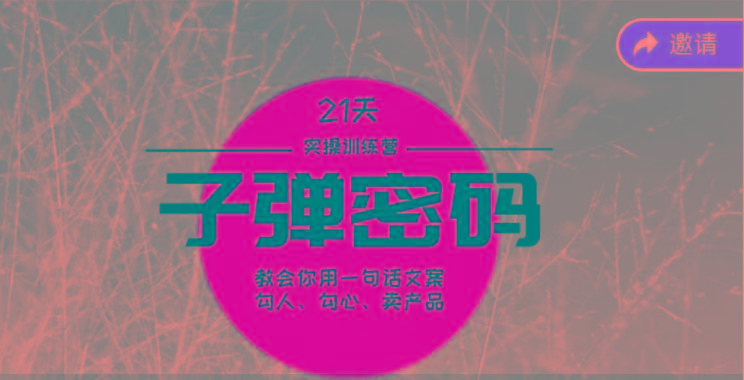 《子弹密码训练营》-用一句话文案勾人勾心卖产品,21天学到顶尖文案大师策略和技巧-冒泡网
