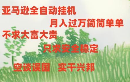 亚马逊全自动浏览挂机,,收益稳定且前景广阔-冒泡网